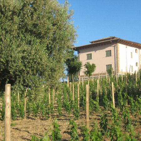 ג'וליאנובה L'Orso E L'Ape B&B מראה חיצוני תמונה